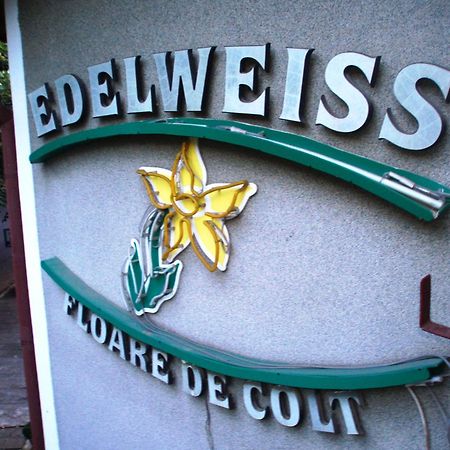 Pension Edelweiss Exterior photo