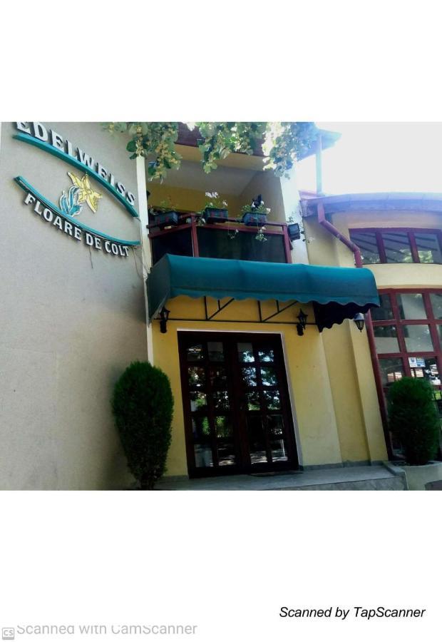 Pension Edelweiss Exterior photo